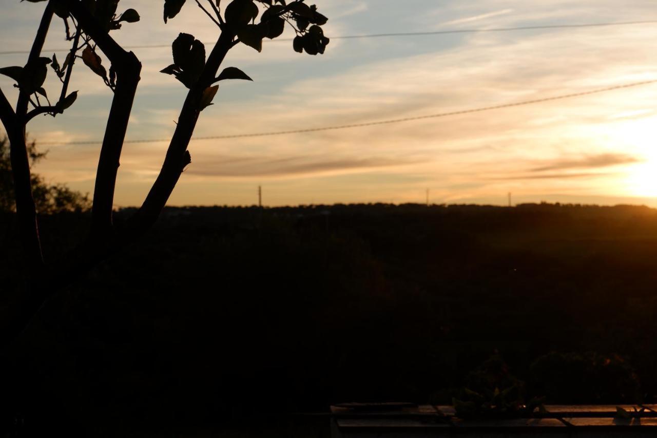 Horta De Pepinais Villa เอลวัช ภายนอก รูปภาพ