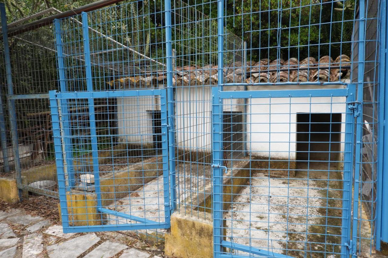 Horta De Pepinais Villa เอลวัช ภายนอก รูปภาพ